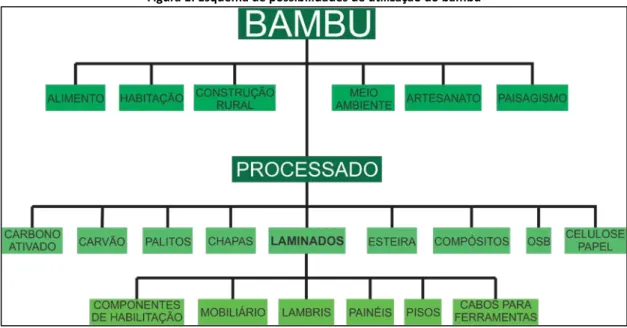 Figura 1: Esquema de possibilidades de utilização do bambu 