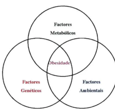 Figura 2.3 Factores determinantes da obesidade 