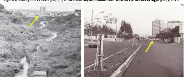 Figura 4: Córrego das Flores (esq.), S/D. Avenida Nações Unidas com vista do Ed. Brasil-Portugal (esq.), 1978