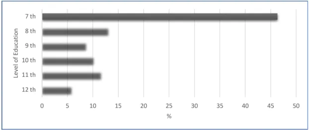 Figure 2. Teachers by level of  education 