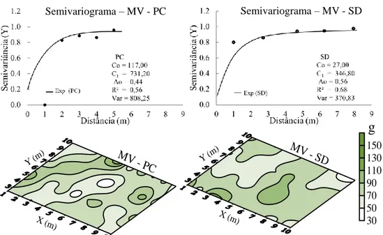 Figura 4. Semivariograma da matéria verde (MV) e mapas de isolinhas da área com (PC) e sem (SD) aplicação  de cobertura morta, no cultivo do sorgo