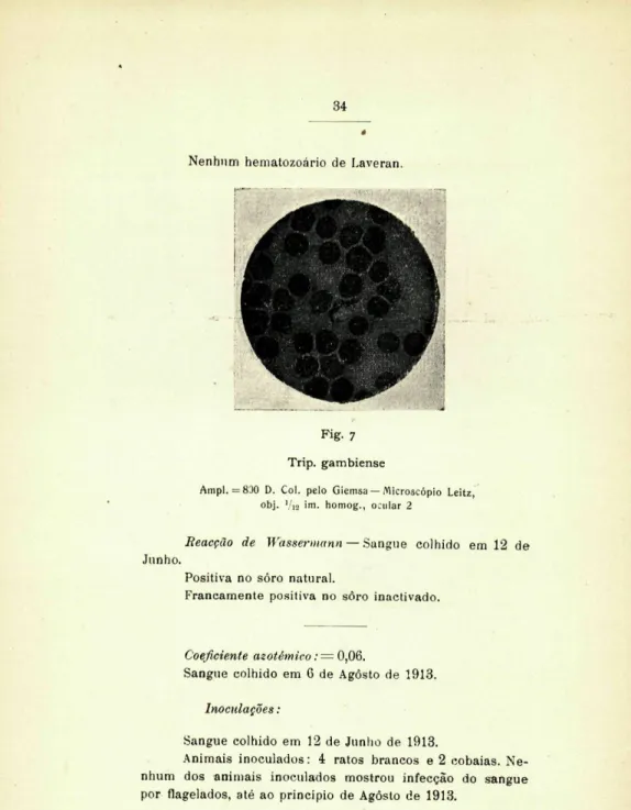 Fig. 7  Trip, gambiense 
