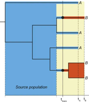 Figure 2 Principle joint donor-recipient time-scaled phylogeny. When a donor (A, blue) infects a recipient (B, red), the possible time-interval when transmission could have occurred (yellow ﬁeld) is restricted in a  time-scaled topology of when the most re