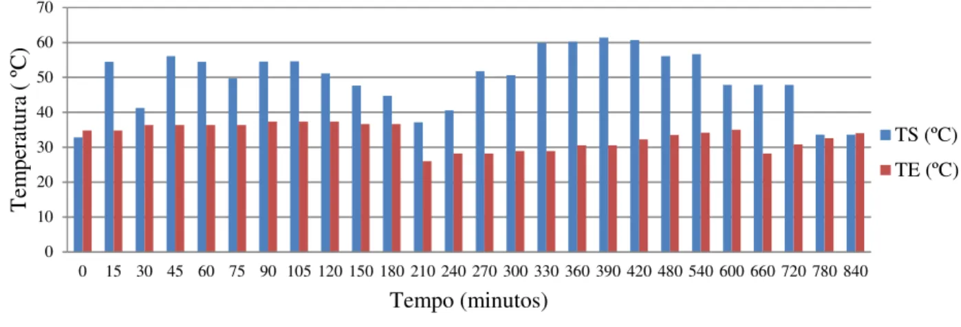 Figura 2. Variação de temperatura do ar de secagem no interior (TS) e exterior do secador solar (TE)