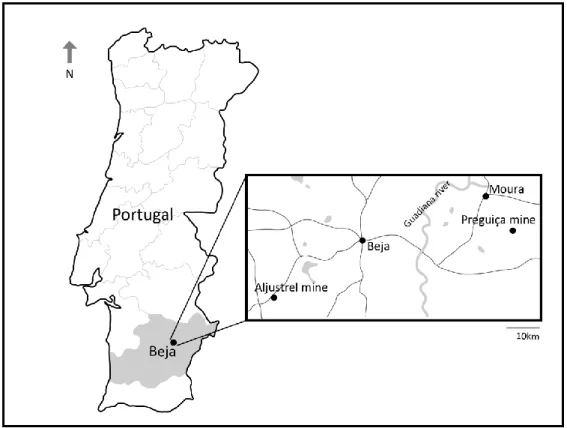 Fig. 1. Location of sampling sites: Aljustrel and Preguiça mines and the Reference site (Moura)