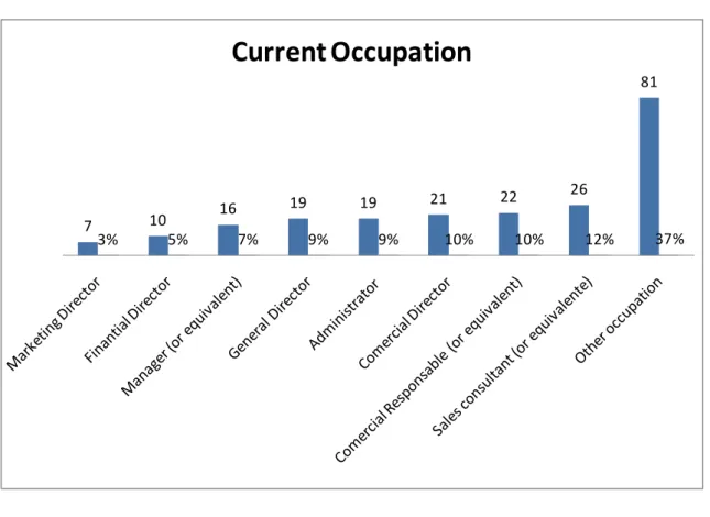 Figure 4  –  Current occupation 