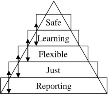 Figure 3:  Components of a safety culture 