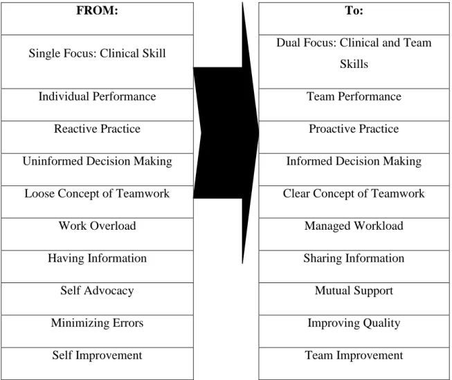 Figure 7 – Impact of change within a team work system (MedTems) 