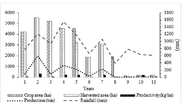 Figure 1. Variables of bean production and rainfall in the municipality of Itaporanga, Paraíba State, Brazil