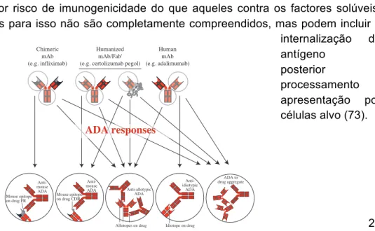 Figure 3. Potential mechanisms of immunogenicity of anti-TNF antibody constructs. Anti-drug antibodies (ADAs) can be induced againstIndividual medicine in inflammatory bowel disease777