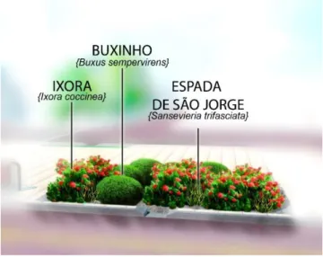 Figura 5: Detalhamento do jardim de infiltração 