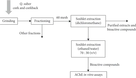 Figure 1: Scheme of the followed methodology towards the in vitro assays with AChE.