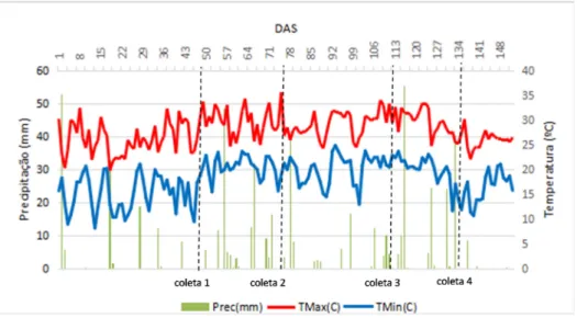 Figura 1. Comportamento das temperaturas mínimas e máximas diárias e precipitação em relação aos dias após  a semeadura (DAS) da época 2, no Campo Experimental da Embrapa Terras Baixas, Capão do Leão-RS 