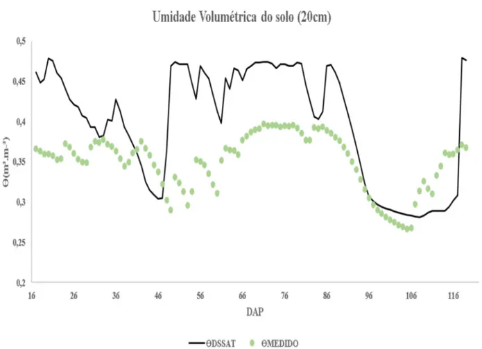 Tabela 1. Análise dos dados simulados e obtidos, onde  θ #$$%&amp; é a média da umidade volumétrica simulada e  θ '(#)#* é a média da umidade volumétrica medida pelo sensor GS3, na Fazenda Areão em Piracicaba-SP