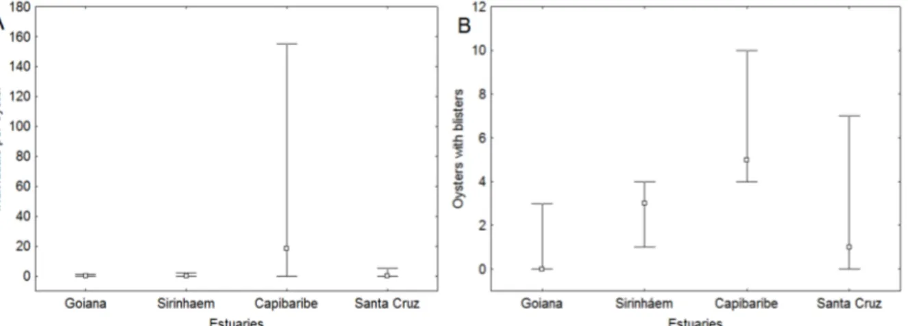 Figure 2. Median (non-outlier range) Infestation rate (A) and prevalence (B) by Polydora websteri  in Crassotraea cf brasiliana on five estuaries from Northeast Brazil