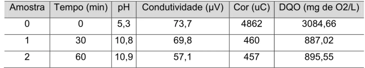 Tabela 5 - Resultado do experimento com menor quantia de sal. 