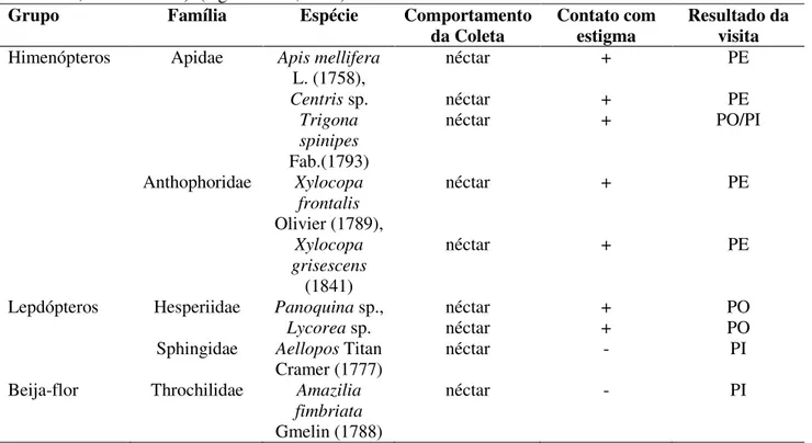 Tabela 2. Visitantes florais e comportamento de visita à flores de Cenostigma macrophyllum Tul