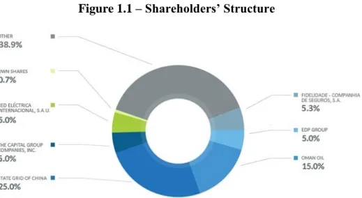 Figure 1.1 – Shareholders’ Structure 