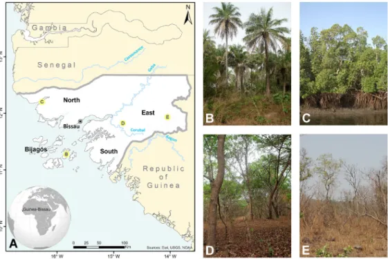 Fig. 1. Map of Guinea-Bissau (A – left). Some of the main vegetation types (right): (B) palm groves, Bijagós Islands;