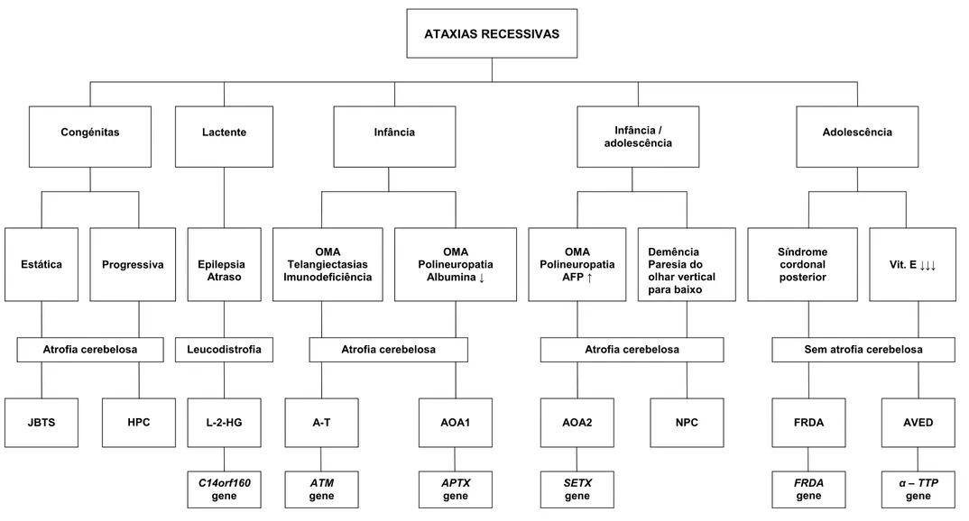 Figura 1. Algoritmo de diagnóstico diferencial das ataxias recessivas mais frequentes em Portugal