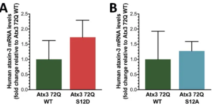 Figure S4.  Expression levels of atx3 72Q in the striatum of the MJD lentiviral rat models