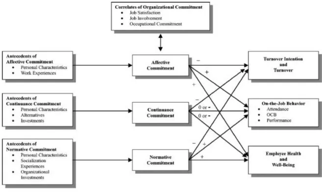 Figure 1: Meyer et al. (1991) 