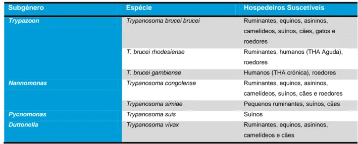Tabela 1 - Espécies de Trypanosoma causadoras de Tripanossomose Africana. (Adaptado de Taylor &amp; Authié (2004)) 