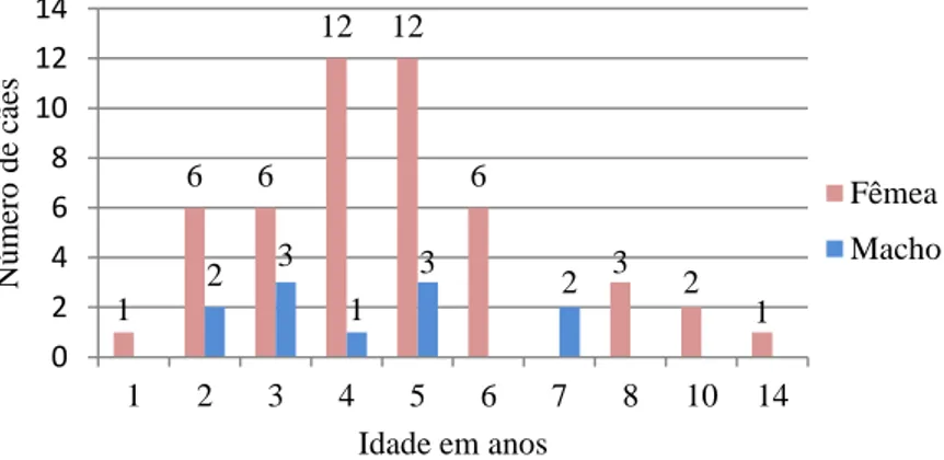 Gráfico  2: Caracterização dos cães estudados de acordo com o sexo e a idade (n=60) 