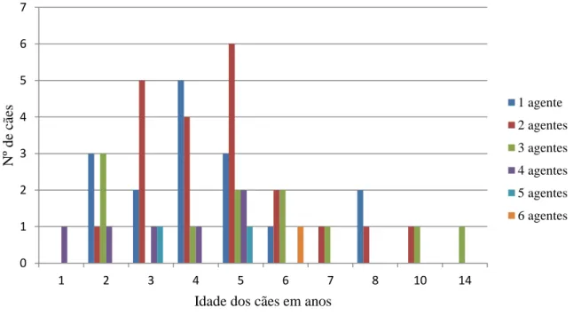 Gráfico  8: Distribuição das infeções por um ou mais agentes pelas idades dos cães em estudo (n=57)  