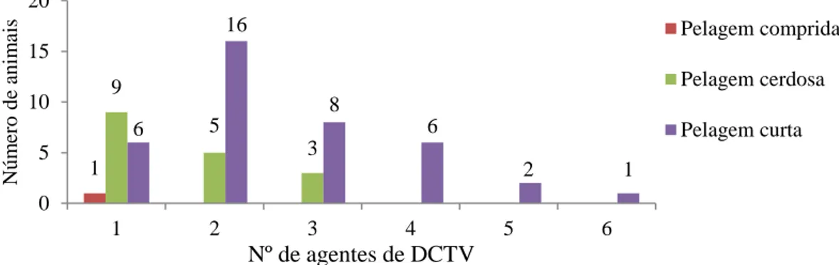 Gráfico 9: Número de agentes de DCTV por tipo de pelagem (n=57) 