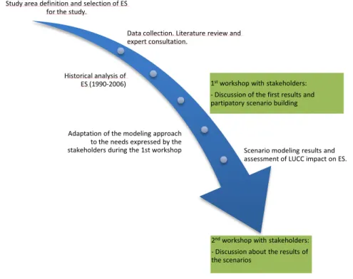 Figure 2Workflow of this study 