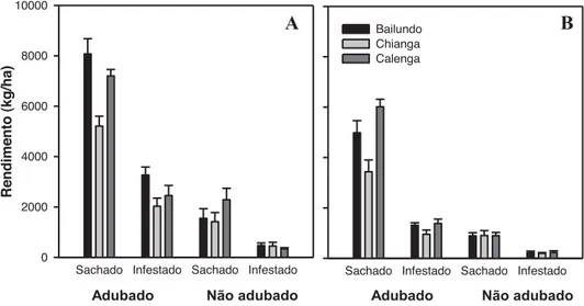 Figura 5 - Rendimento de milho, com e sem adubação, e interferência da infestação,  durante a época seca (A) e época das chuvas (B) no Bailundo, Calenga e Chianga.