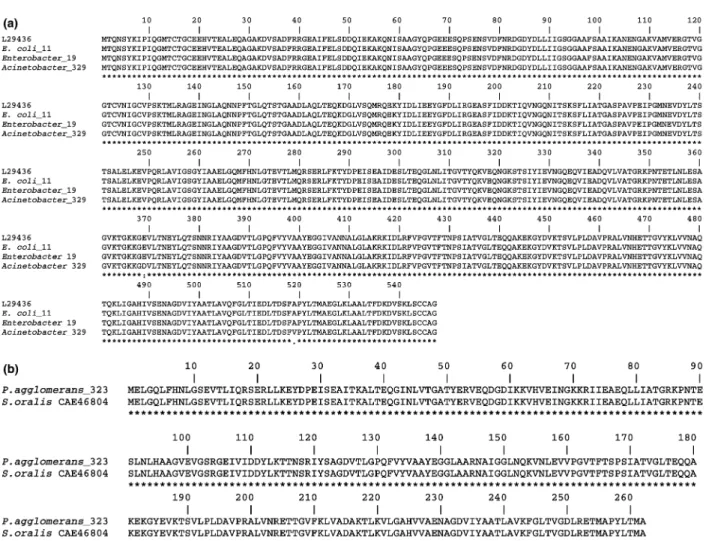 Fig. 2. (a) Multiple alignment of amino acid sequence with the staphylococcal MerA protein (AAA98245)