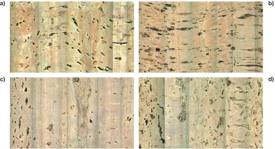 Figure 5. Cork stoppers cylindrical surface (body) for two quality classes: Best (Superior) (a and c) and worst (5 th /6 th ) (b and d)