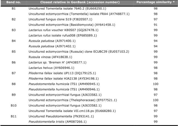 Table 3. Closest matches between DNA sequences of bands excised from denaturing gradient gel  electrophoresis  (DGGE)  gels  and  sequences  from  the  GenBank  databases  obtained  using  the  BLASTN search tool