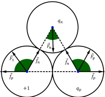 Figure 3.4: In green are the possible force directions for three grains with a unitary, a positive q p and a negative q n charge