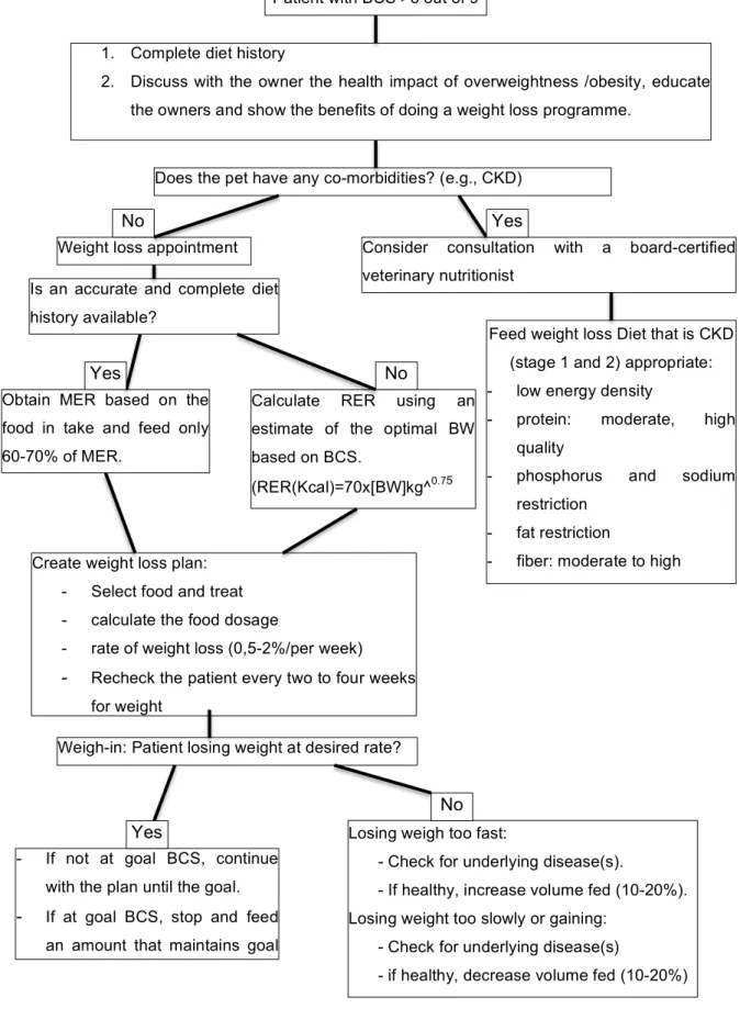 Figure  4  -  Algorithm  –  Nutritional  management  of  concurrent  canine  obesity  (Bartoes  &amp; 