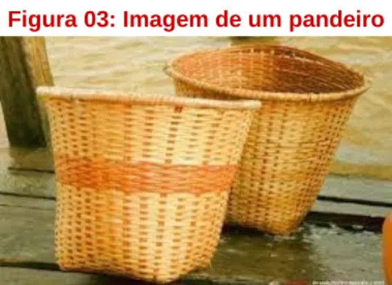 Figura 03: Imagem de um pandeiro 