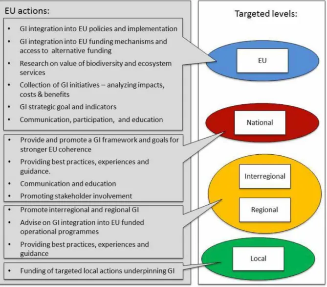 Figure 1. Multiscale tasks of European Green Infrastructure strategy implementation