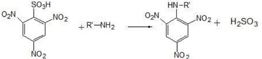Figura 1 – Reação do TNBS com grupos amino (Rutherford, 2010). 