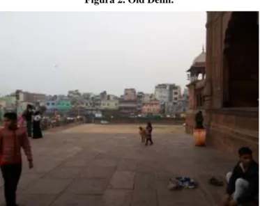 Figura 2. Old Delhi. 