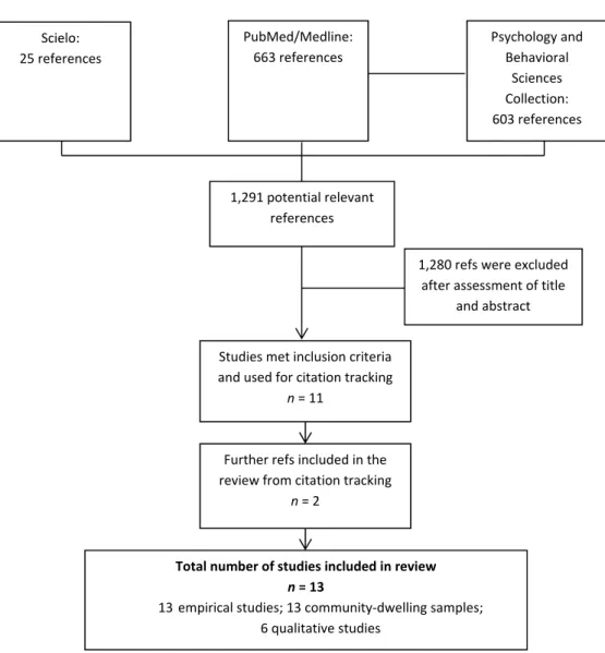 Figure 1 summarizes the above literature search process. 