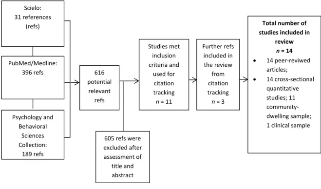 Figure 1 summarizes the above literature search process. 