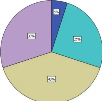 Figure 4 – Caregivers’ educational level 