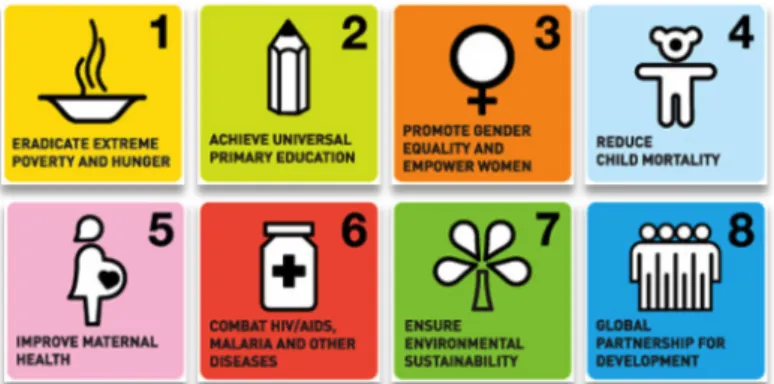 Figure 1.1.: The Millennium Development Goals 