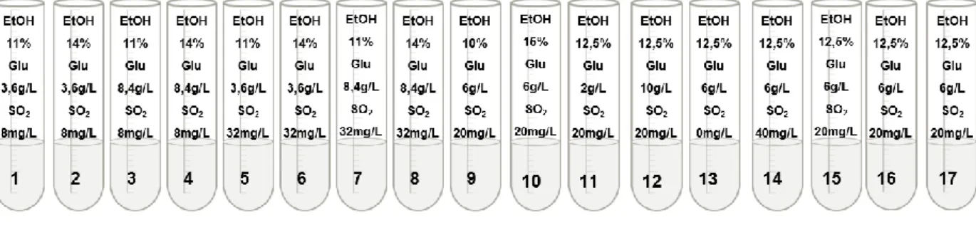 Tabela 9 - Quantidade de etanol, MRS Broth, glucose e SO 2 , a adicionar em cada respectivo tubo de  ensaio, para o ensaio experimental, os cálculos correspondentes aos valores de etanol e MRS Broth, tal  como os da preparação das soluções stock de glucose