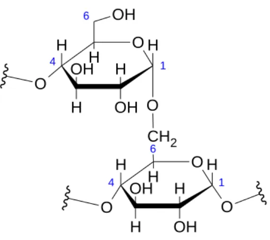 Figura 02: Segmento de amilopectina, resíduos ligados de maneira similar,  situados entre pontos de ramificação (α16)