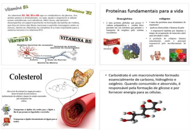 Figura 1: Exemplos dos slides apresentados durante a exposição oral 