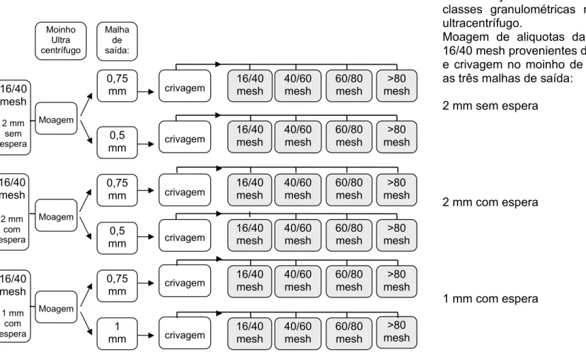 Figura 2.8 – Plano de amostragem para determinação do rendimento no moinho ultracentrífugo, de aliquotas de cada uma das fracções     16/40 mesh, obtidas no moinho de facas (Figura 2.7) 