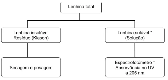 Figura 2.13 – Determinação da lenhina total. (* Para o Eucalipto) 